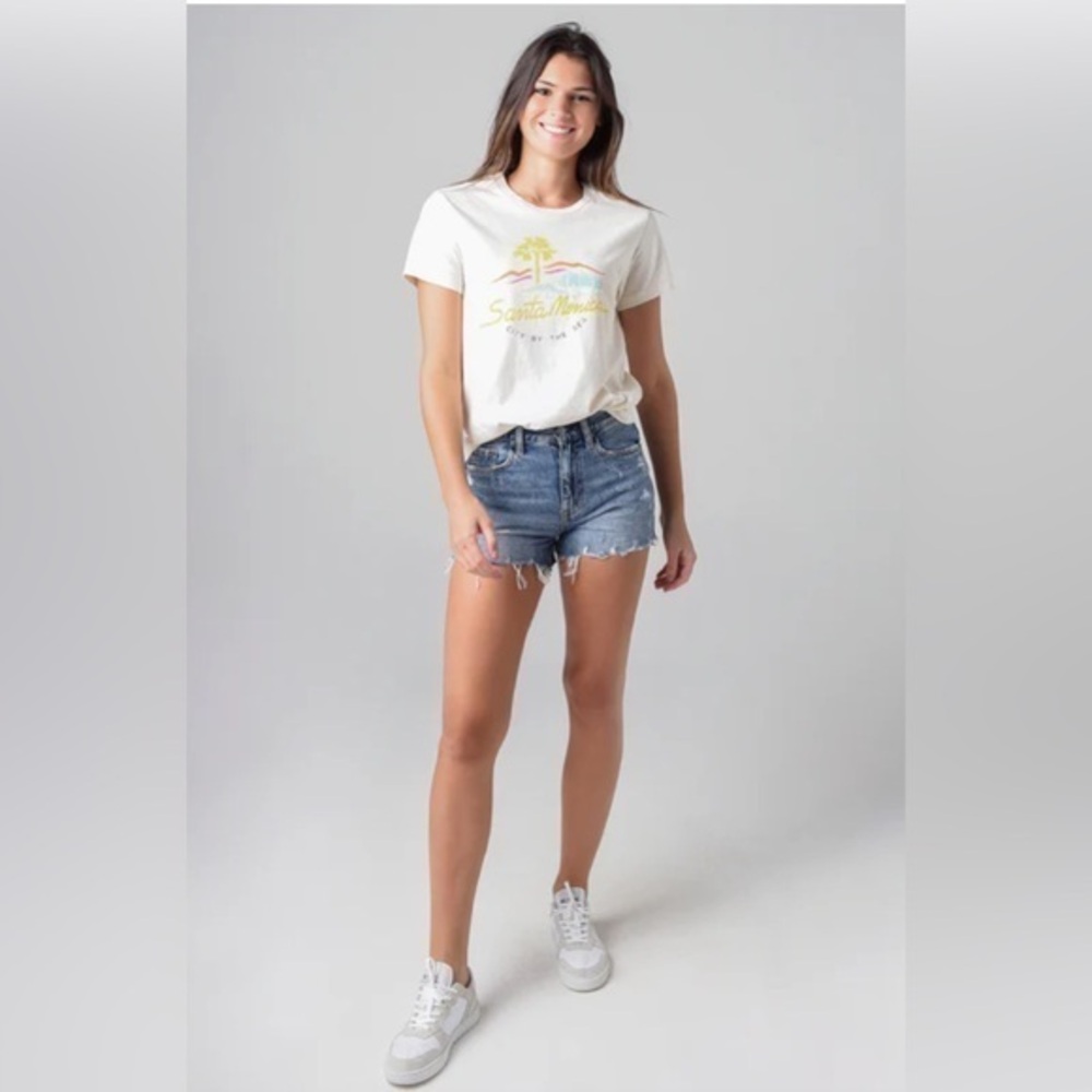 Pistola Nova Relaxed High Rise Distressed Cut Off Shorts  Size 30